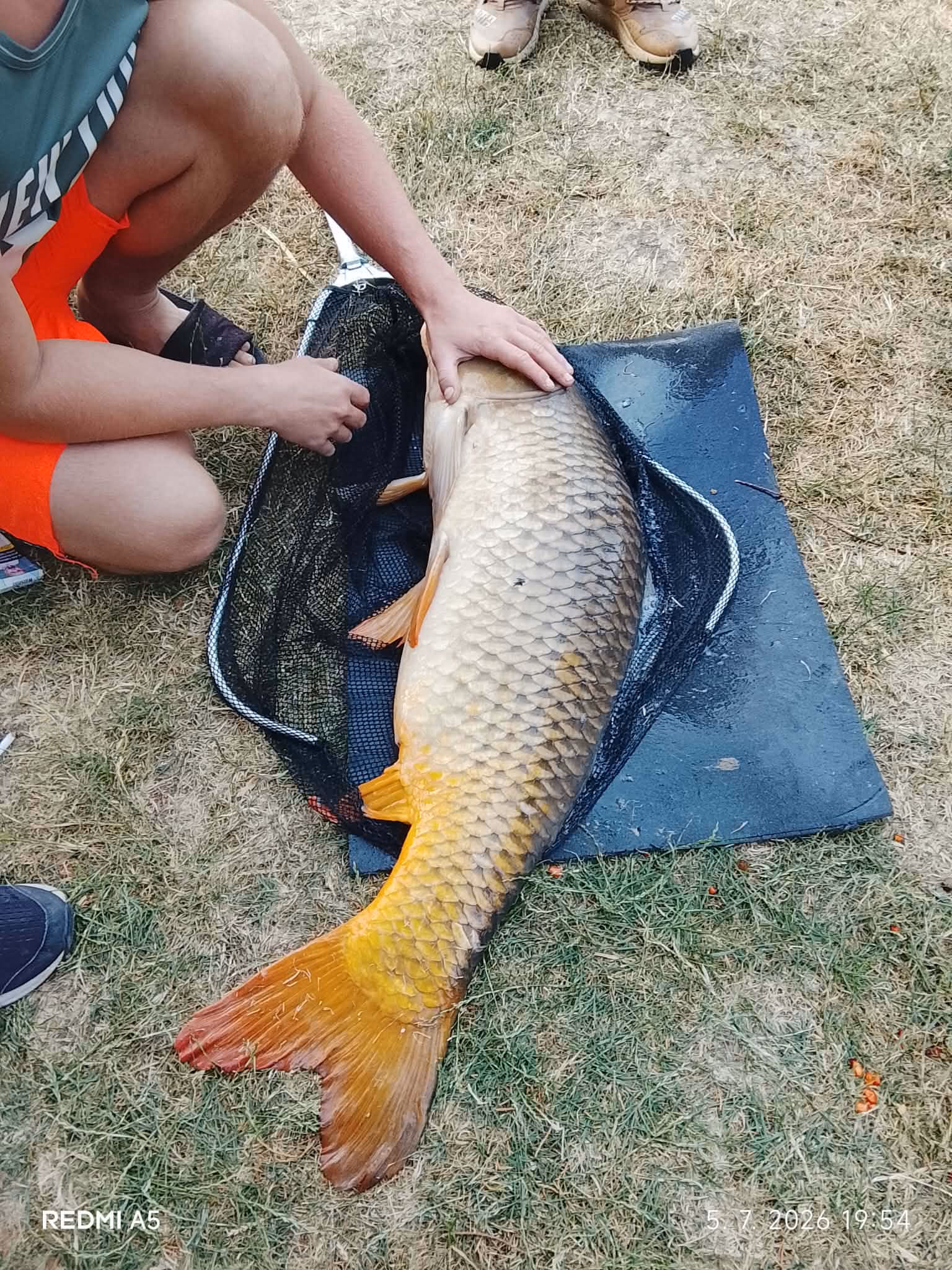 Kapor s dĺžkou 105 cm a hmotnosťou 17 kg, úlovok 11-ročného rybára Samuela Liva na rybníku Mederčina